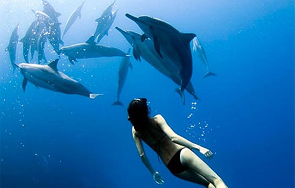 Devocean Eco Adventure Lodge Ponta do Ouro Exterior foto